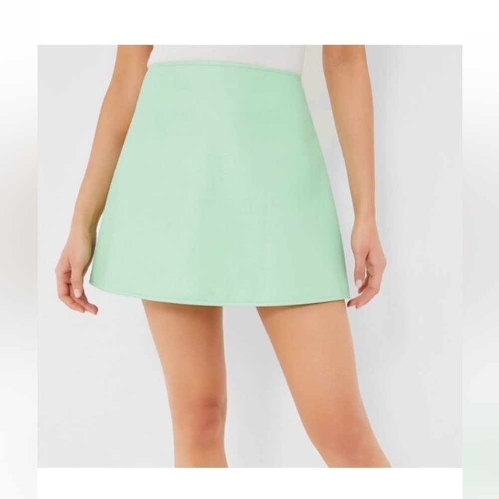 Tuckernuck Meg Mini Skirt S Mint Green Faux Leather A-Line NWT Preppy - Picture 3 of 10